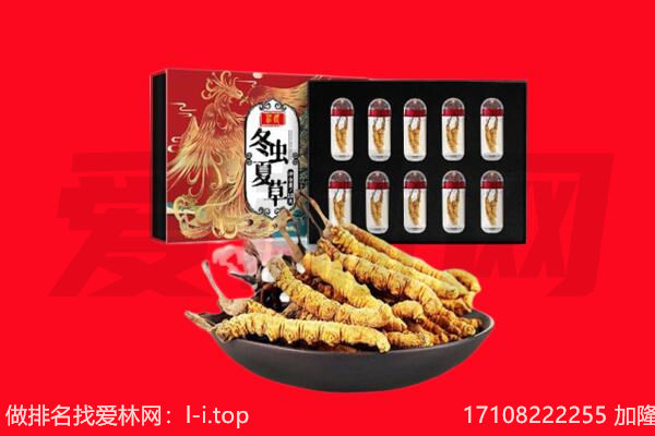 兰州城关区回收虫草.jpg